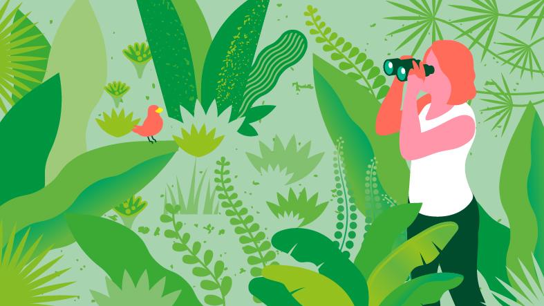 Rendez-vous au jardin de la maison natale de Jean de Lattre